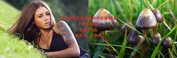 мяу мяу мука Гусь-Хрустальный