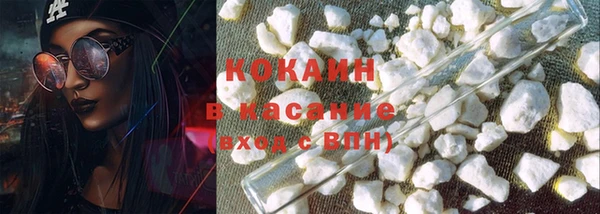 амф Дмитриев