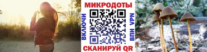 Купить  Горно-Алтайск  Псилоцибиновые грибы мухоморы 